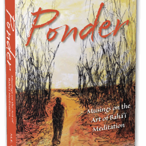 ponder by me weber books 3D cover