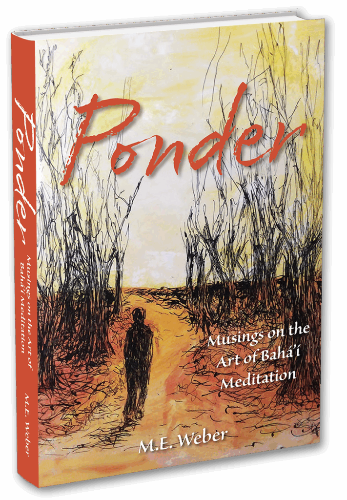 ponder by me weber books 3D cover