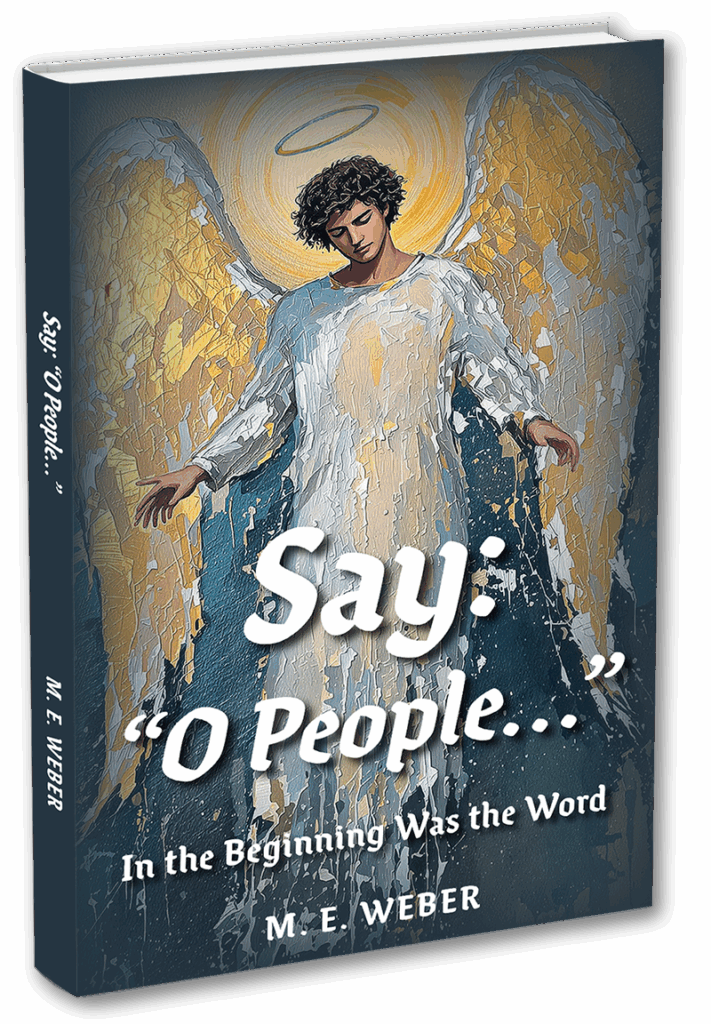 say o people by me weber 3D cover